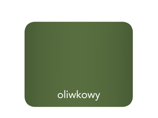 kolory_B2_oliwkowy